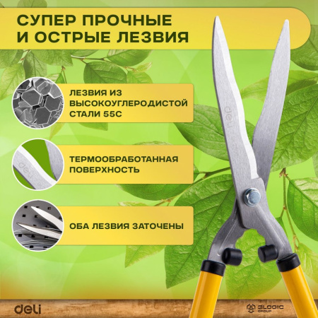 Изображение загружено обработкой выгрузки с сайта