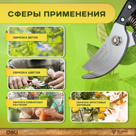 Изображение загружено обработкой выгрузки с сайта