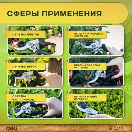 Изображение загружено обработкой выгрузки с сайта