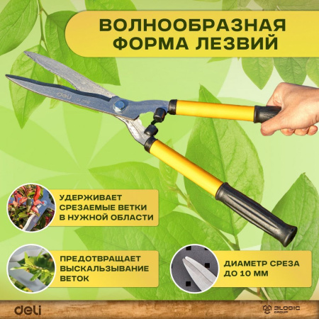 Изображение загружено обработкой выгрузки с сайта