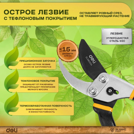Изображение загружено обработкой выгрузки с сайта