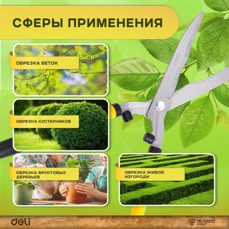 Изображение загружено обработкой выгрузки с сайта