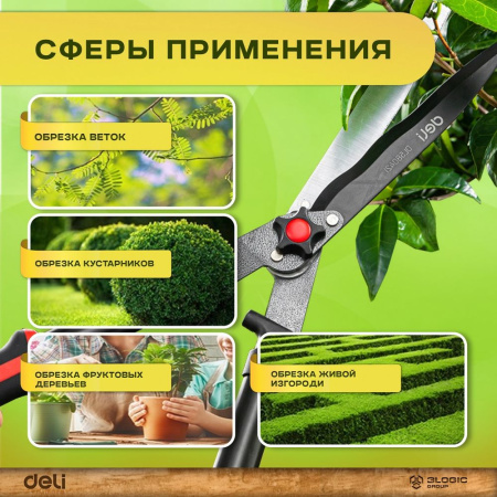 Изображение загружено обработкой выгрузки с сайта