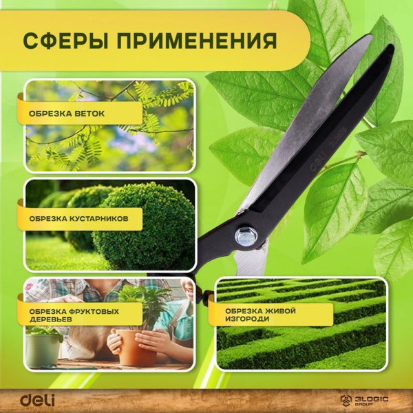 Изображение загружено обработкой выгрузки с сайта
