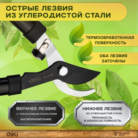 Изображение загружено обработкой выгрузки с сайта