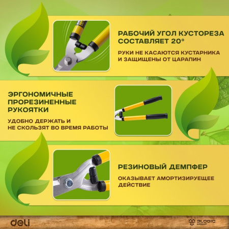 Изображение загружено обработкой выгрузки с сайта
